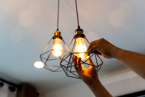 Best Electrical Rewiring Services  in Pinckney, MI