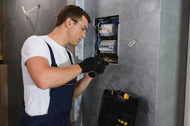 Best Local Electrician Companies  in Pinckney, MI
