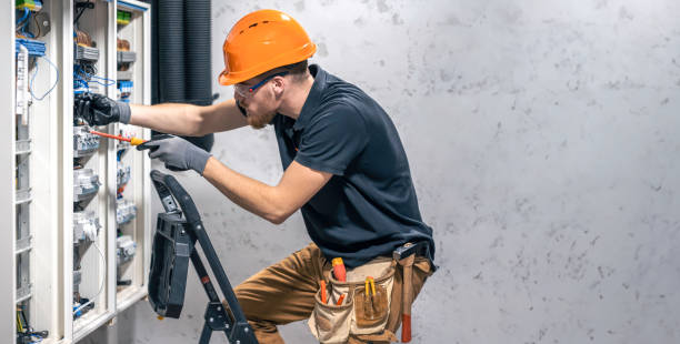 Best Electric Panel Repair  in Pinckney, MI