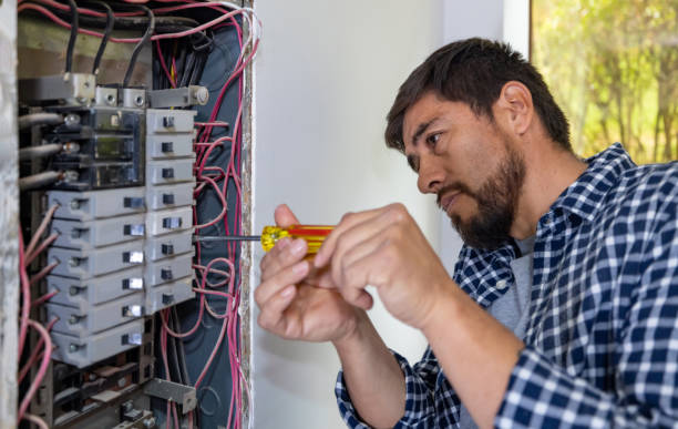 Best Local Electrician Companies  in Pinckney, MI